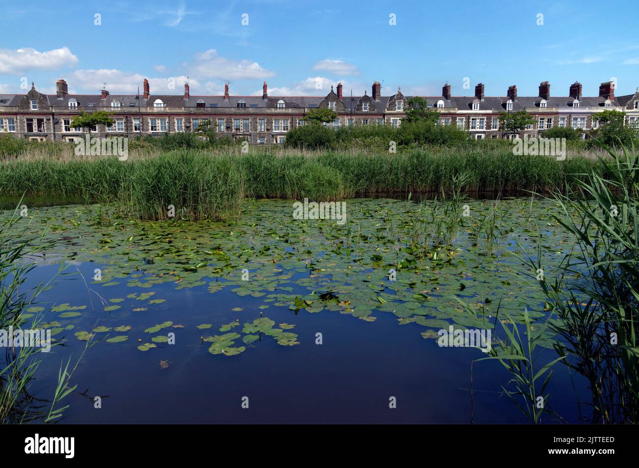 Cardiff Bay Weland Nature Reserve 2022 .Windsor Esplanade in distance
