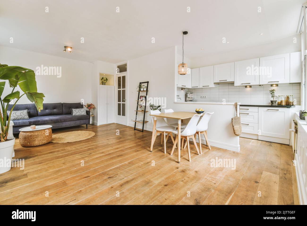 Picture of Contemporary minimalist style interior design of light studio apartment ...