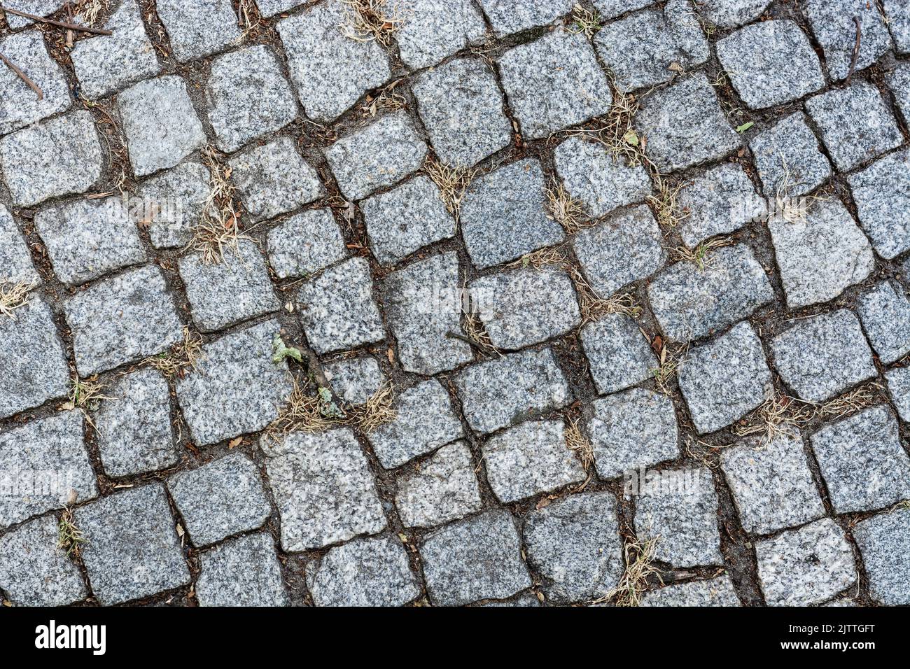 Fragment of a sidewalk paved with granite stone for use as an abstract ...