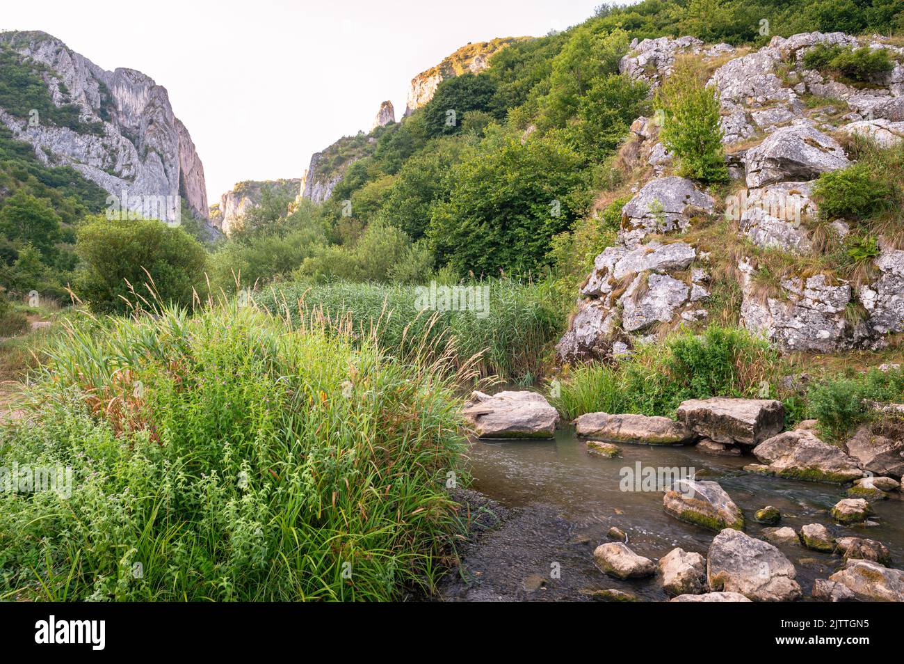 Scenic view of a brook near Turda gorge in Transylvania, Romania Stock Photo