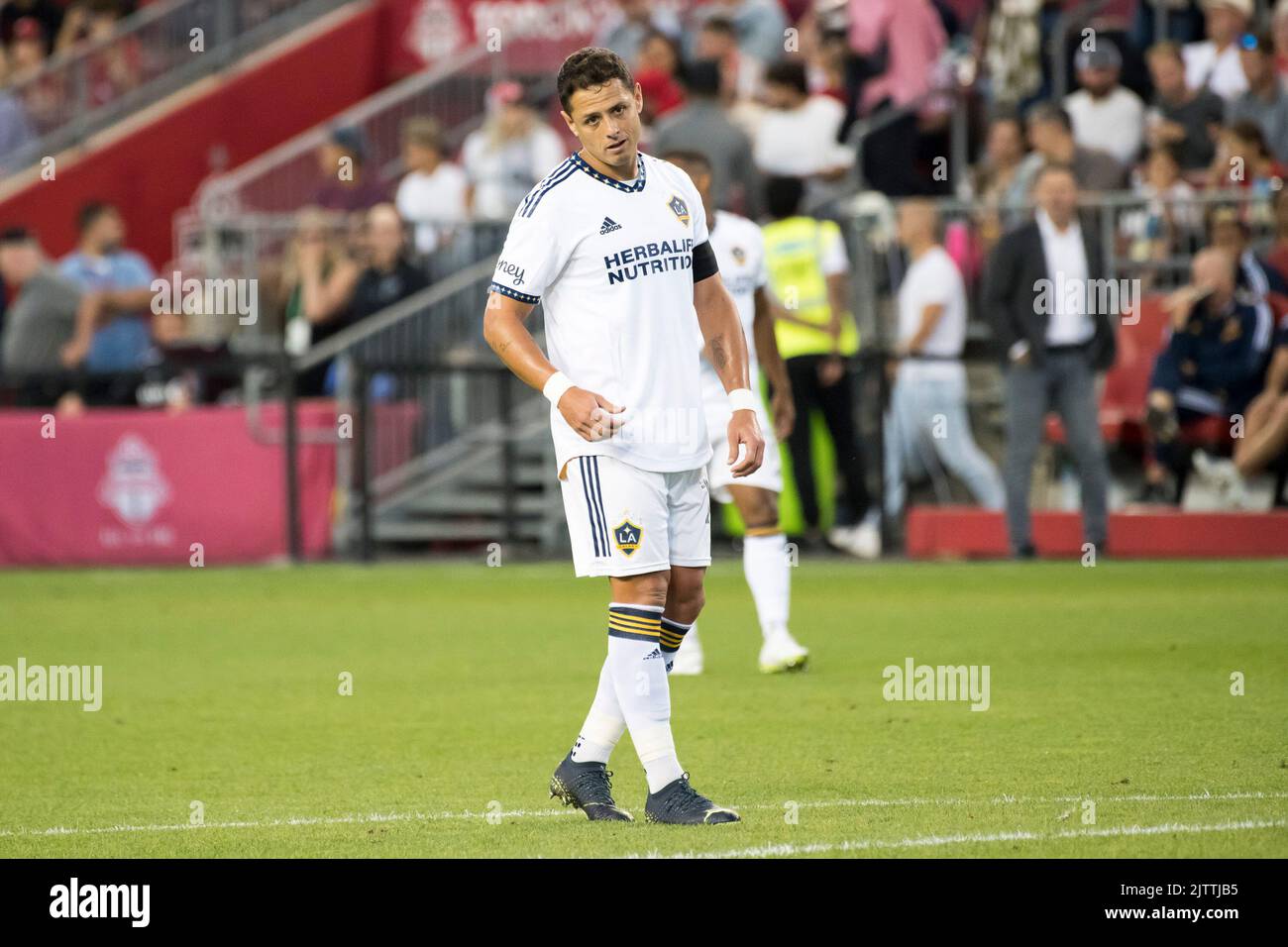 Javier Hernandez Balcazar aka Chicharito (14) in action during the MLS game between Toronto FC and LA Galaxy at BMO field in Toronto. The game ended 2-2 Stock Photo