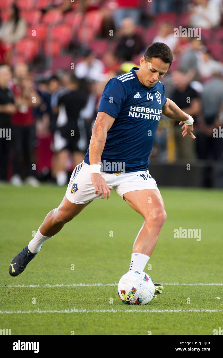 Toronto, Canada. 31st Aug, 2022. Javier Hernandez Balcazar aka Chicharito (14) in action during the MLS game between Toronto FC and LA Galaxy at BMO field in Toronto. The game ended 2-2 (Photo by Angel Marchini/SOPA Images/Sipa USA) Credit: Sipa USA/Alamy Live News Stock Photo