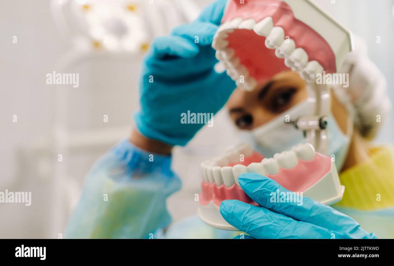 A model of a human jaw with teeth and a toothbrush in the dentist's ...