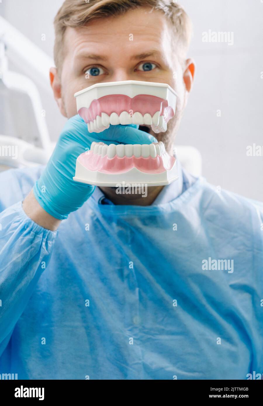 A model of a human jaw with teeth and a toothbrush in the dentist's ...