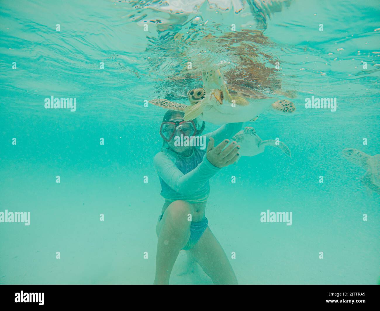 Young girl swimming with sea turtles at Hoopers Bay, Exuma Stock Photo