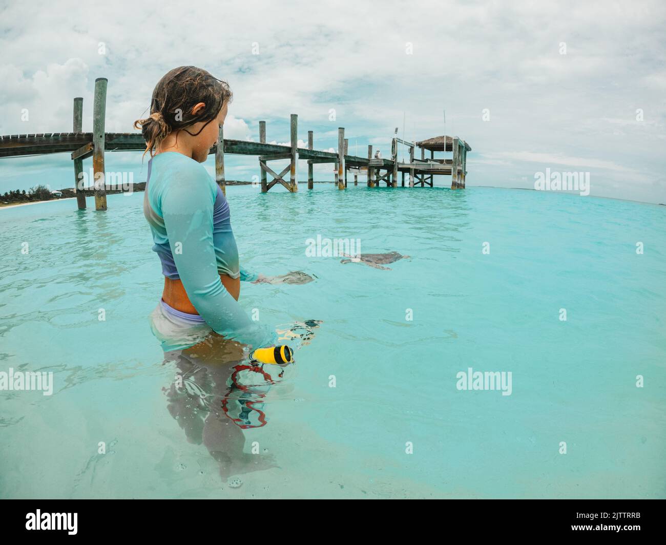 Young girl feeding sea turtles at Hoopers Bay, Exuma Stock Photo Alamy