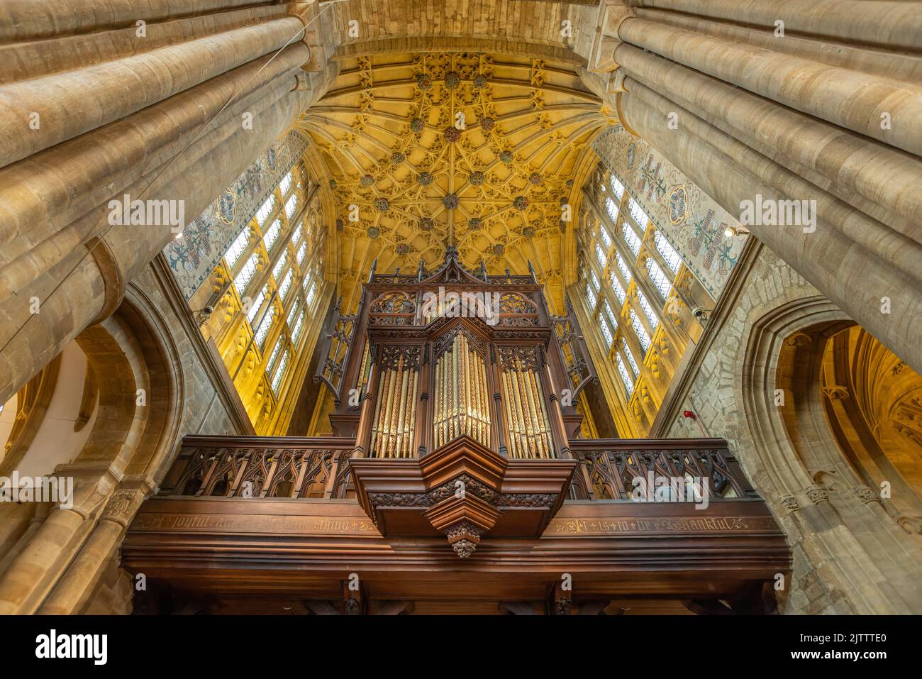 Organ And Vaulted Ceiling In The North Transept Inside Sherborne Abbey organ-and-vaulted-ceiling-in-the-north-transept-inside-sherborne-abbey