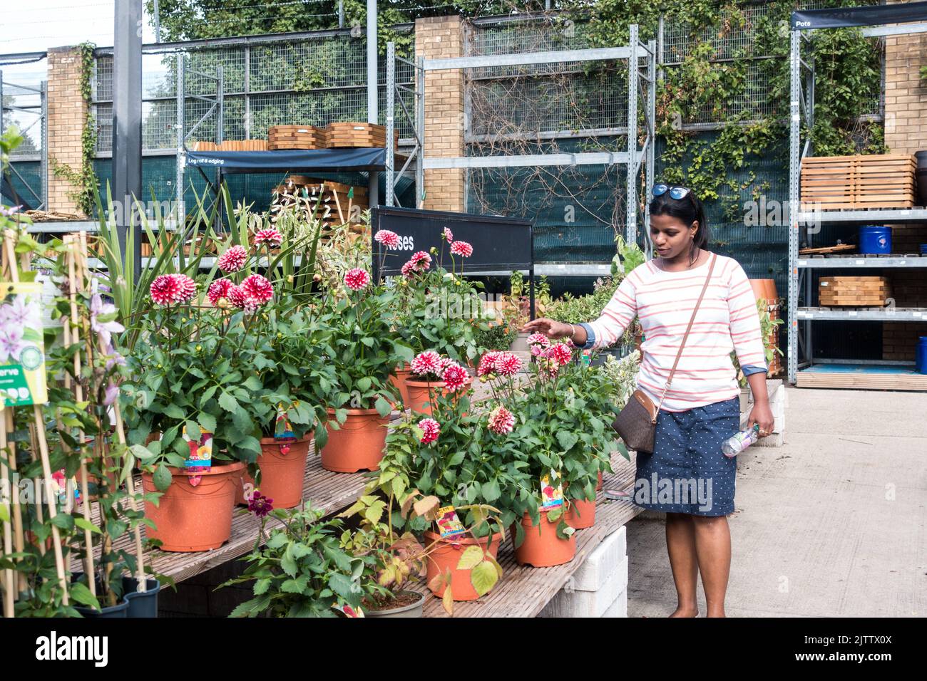 Asian plants hi-res stock photography and images - Alamy