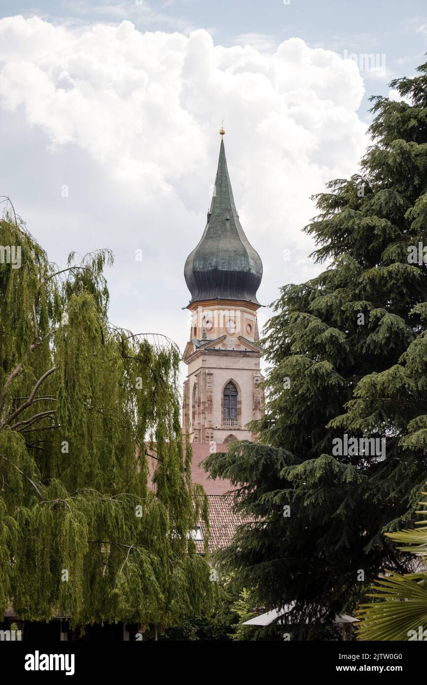 A vertical of the St Paul's cathedral through the trees Stock Photo - Alamy