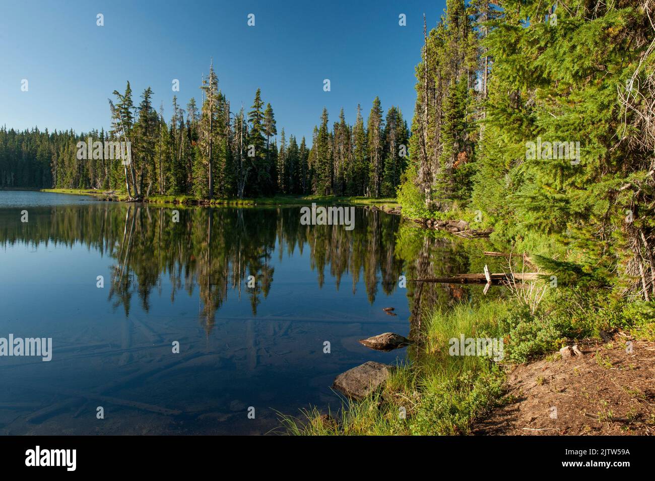 Taylor Lake, high in the Oregon Cascades next to the Pacific Crest Trail, in morning light. Stock Photo