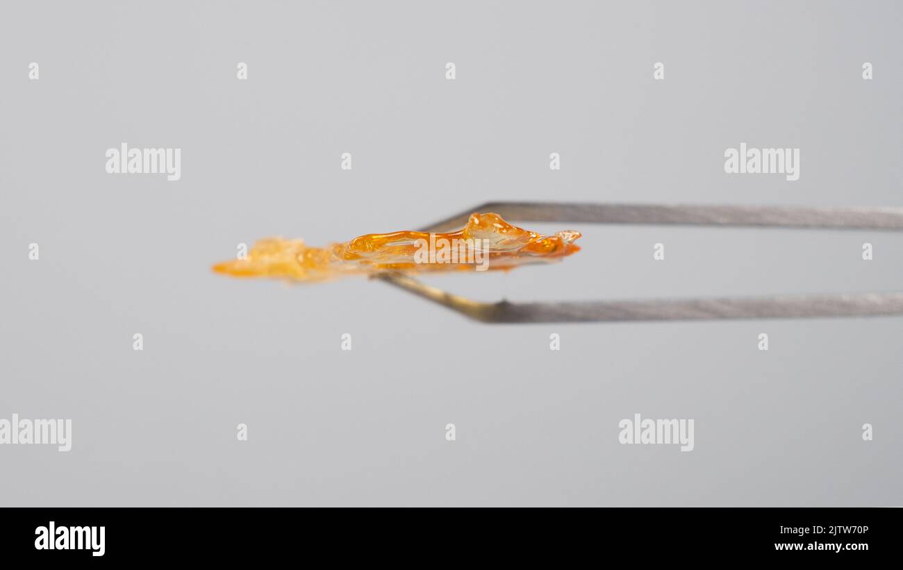 tweezers and piece of golden resin marijuana concentrate on gray