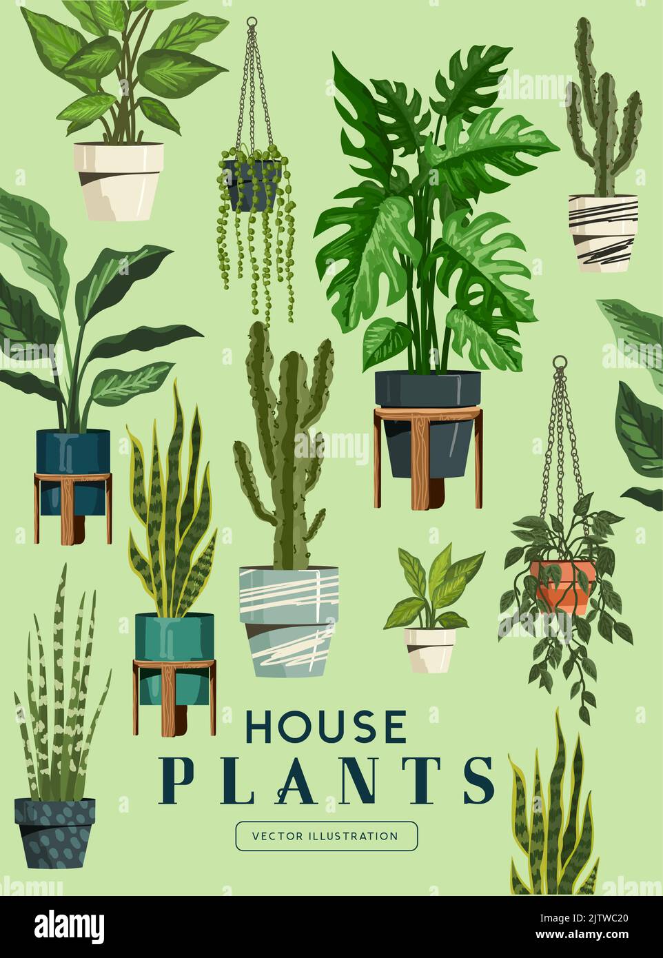 Green Indoor garden house plants collection. Botanical vector illustration. Stock Vector