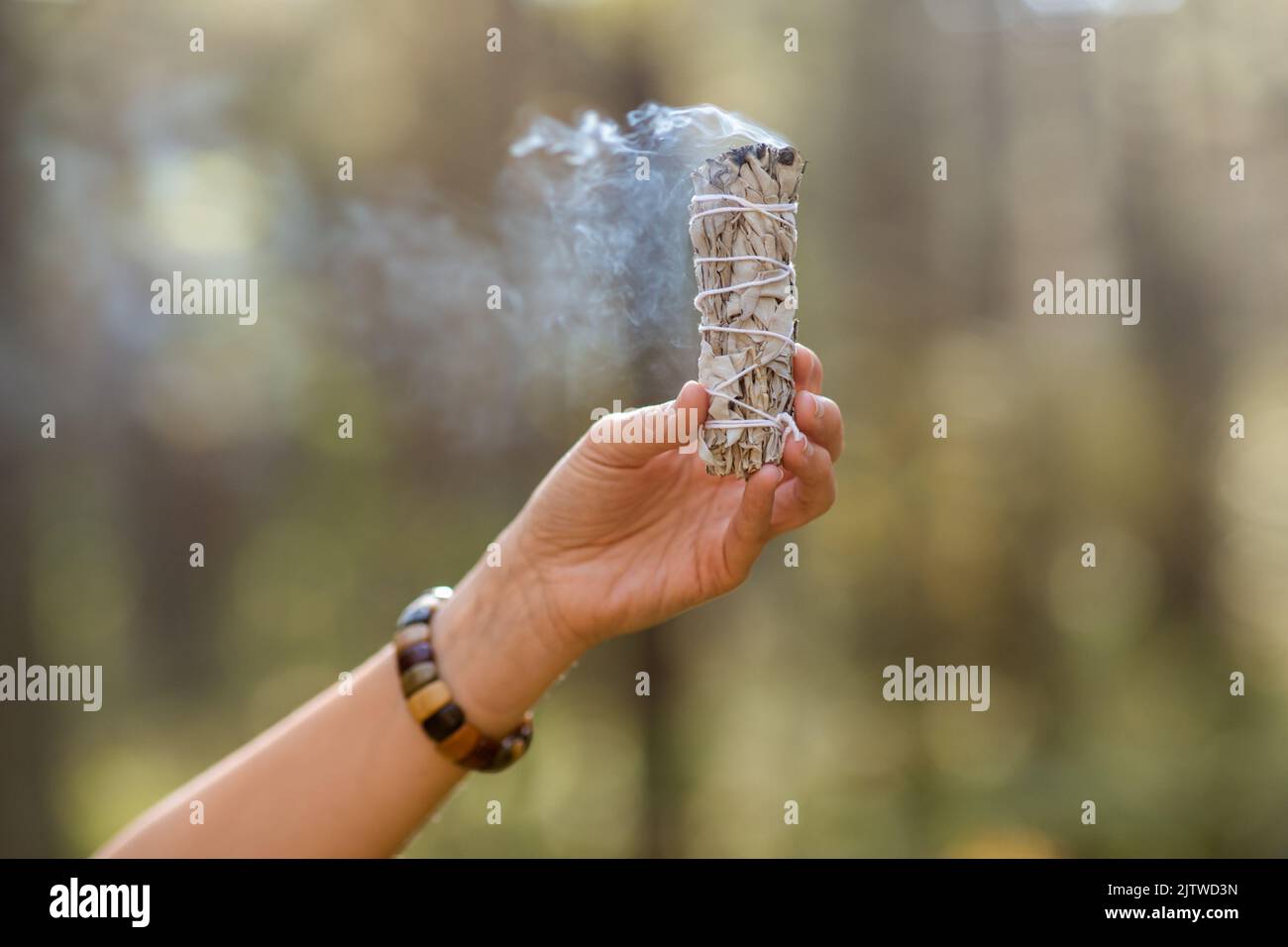 hand with sage performing magic ritual in forest Stock Photo Alamy