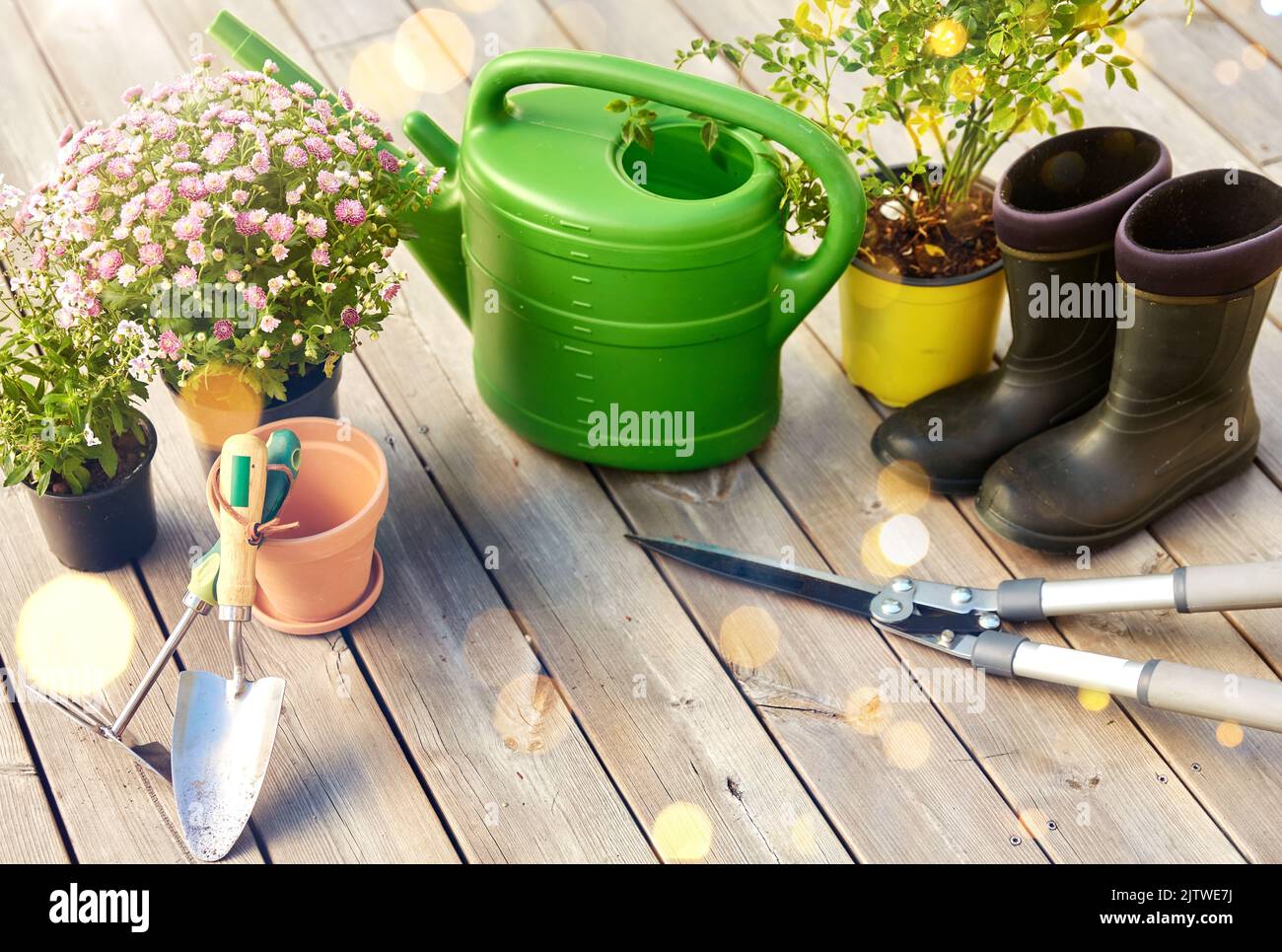 garden tools, flower seedlings and rubber boots Stock Photo