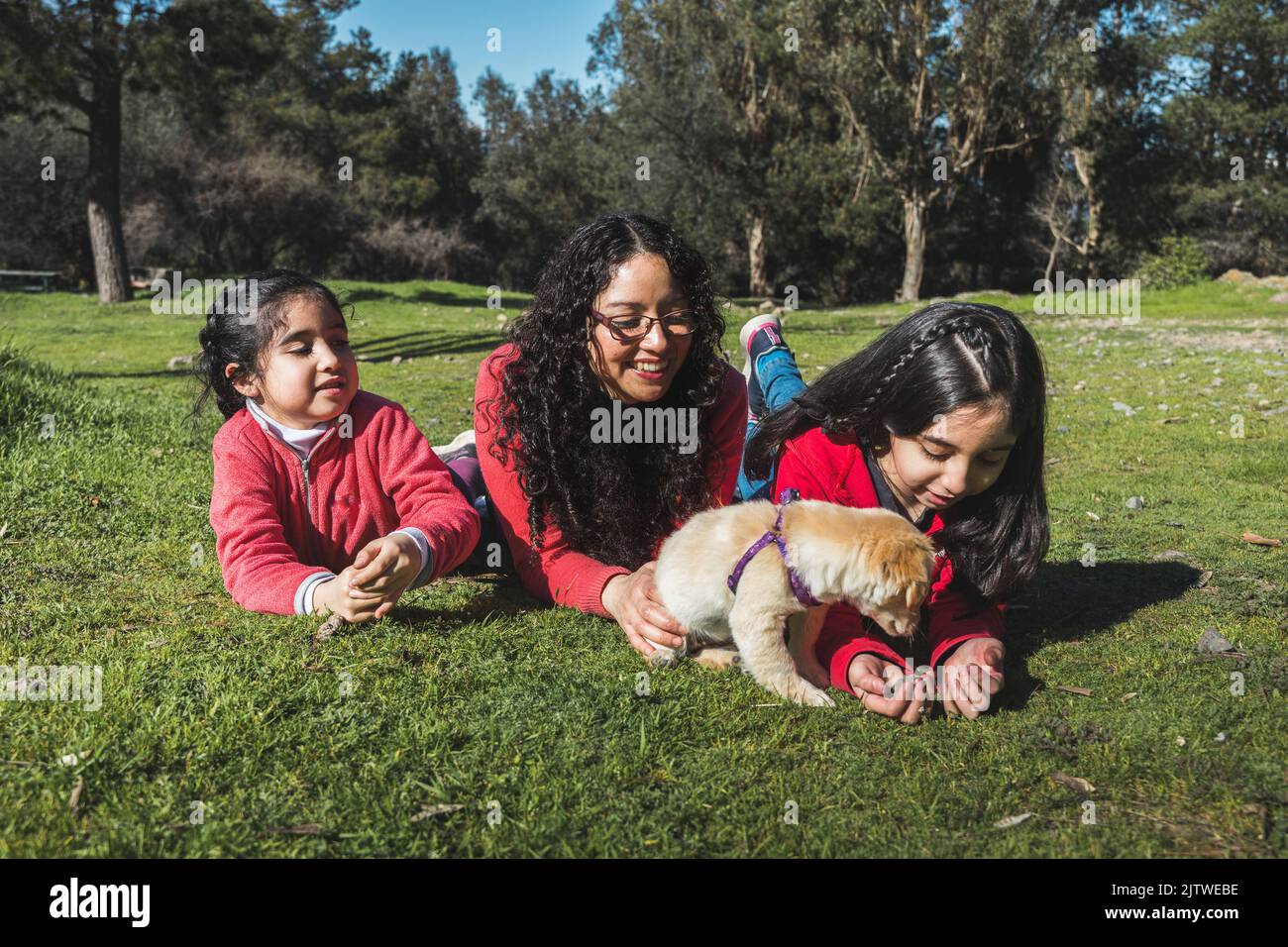 Mother with her two daughters, playing with a golden retriever puppy in the park. Female family Stock Photo