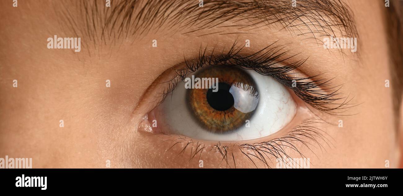 Little boy with brown eyes, closeup Stock Photo Alamy