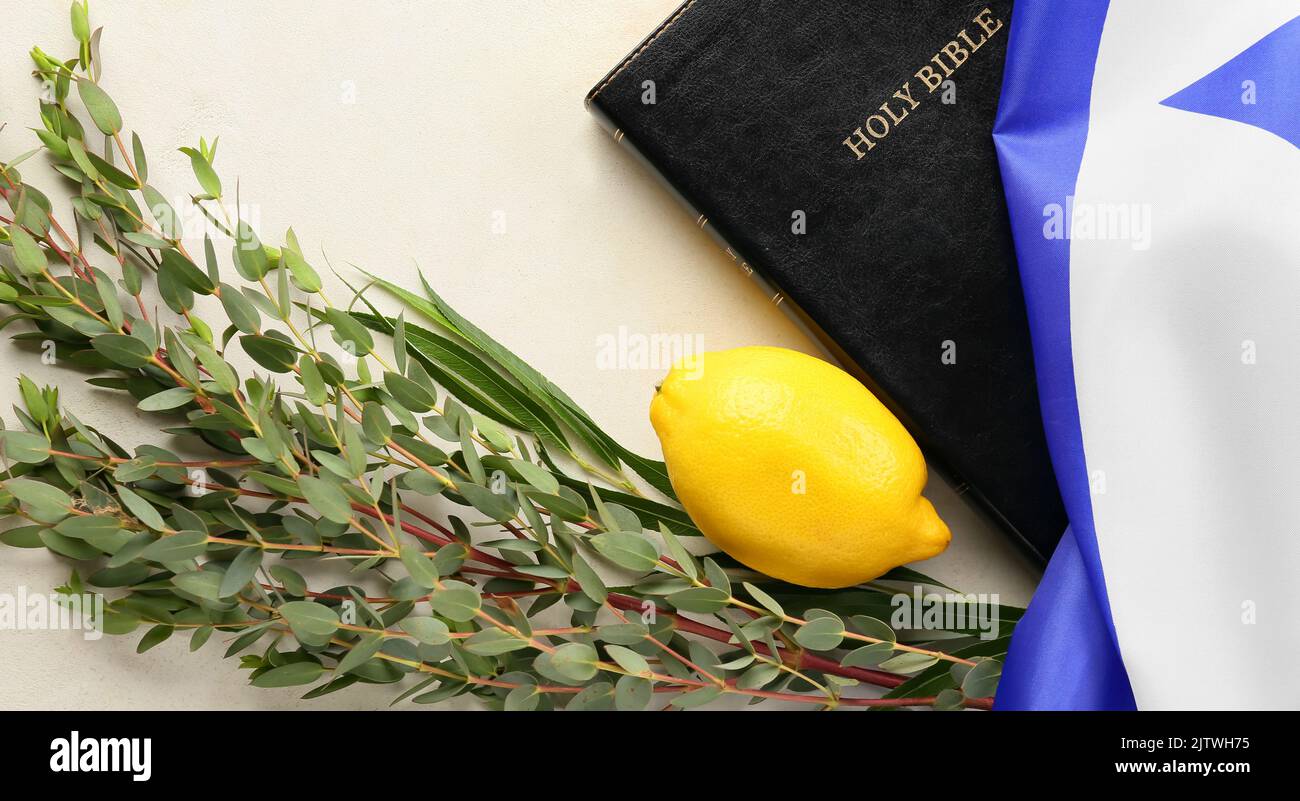 Sukkot festival symbols, Bible and flag of Israel on light background