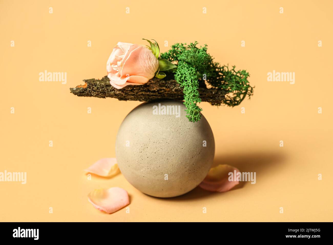 Composition with plaster podium and floral decor on color background Stock Photo