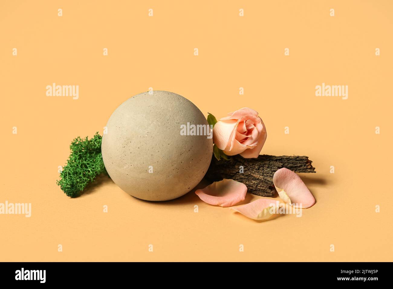 Composition with plaster podium and floral decor on color background Stock Photo