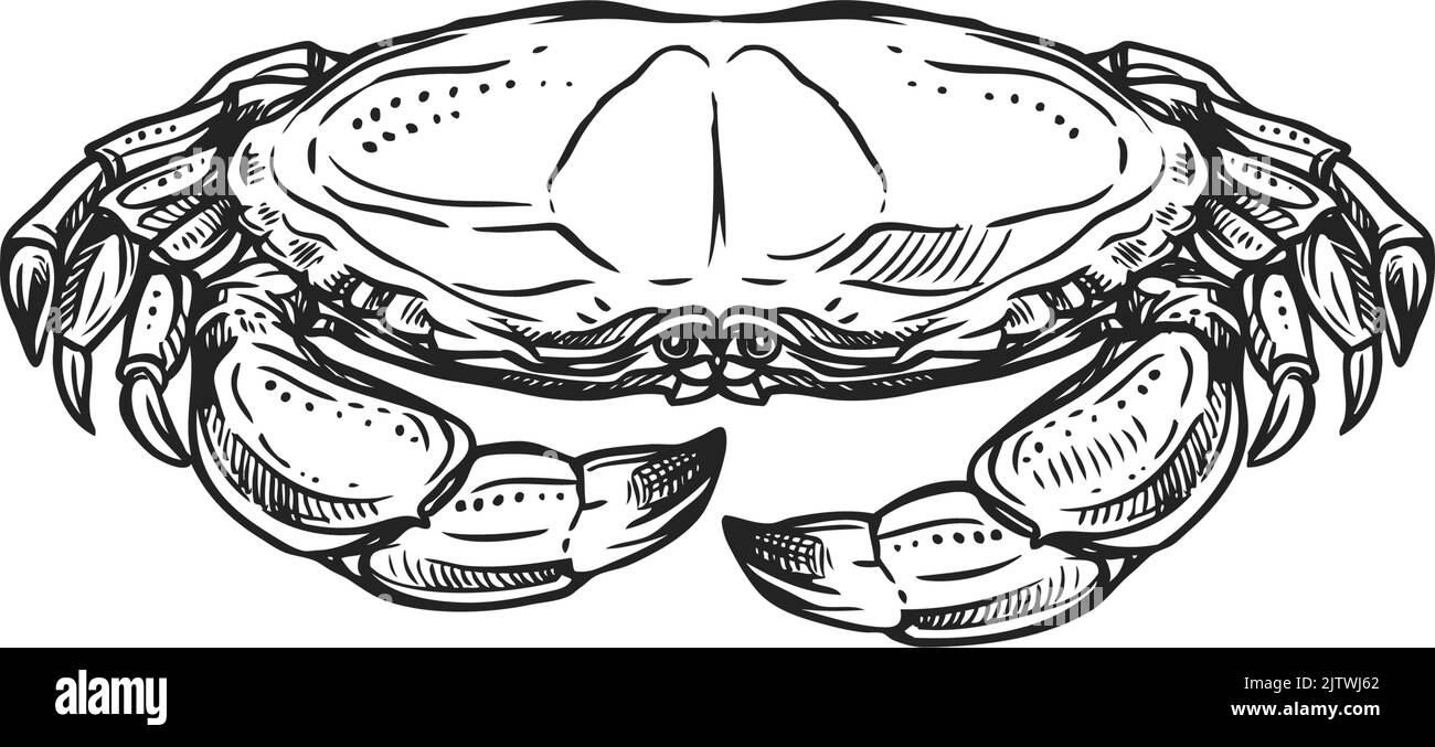 Underwater crab isolated marine animal monochrome sketch icon. Vector ...