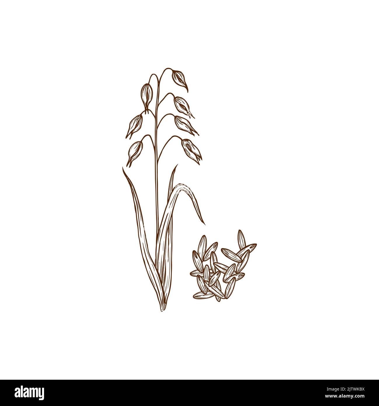 Avena porridge Stock Vector Images - Alamy
