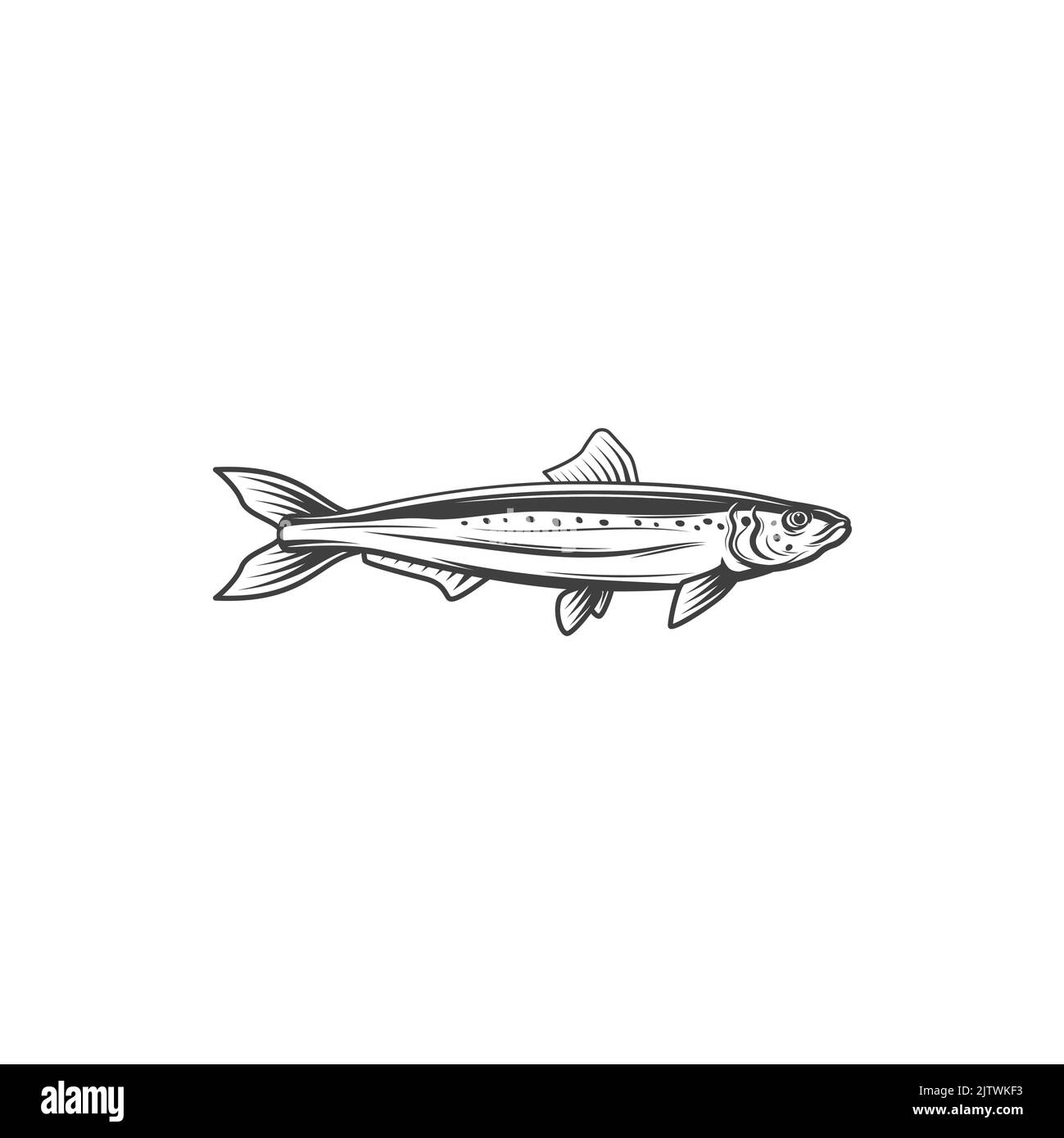 Chub mackerel Black and White Stock Photos & Images - Alamy