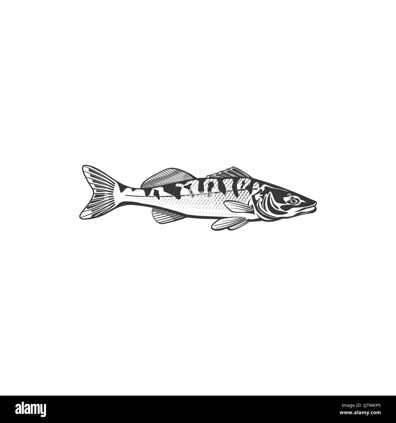 Mackerel fish vector icon, saltwater creature, fish species. Monochrome