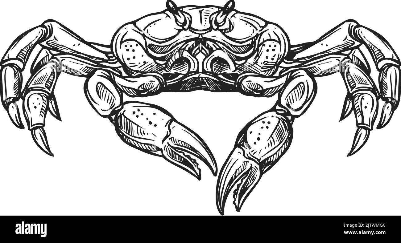 Crab Underwater Drawing