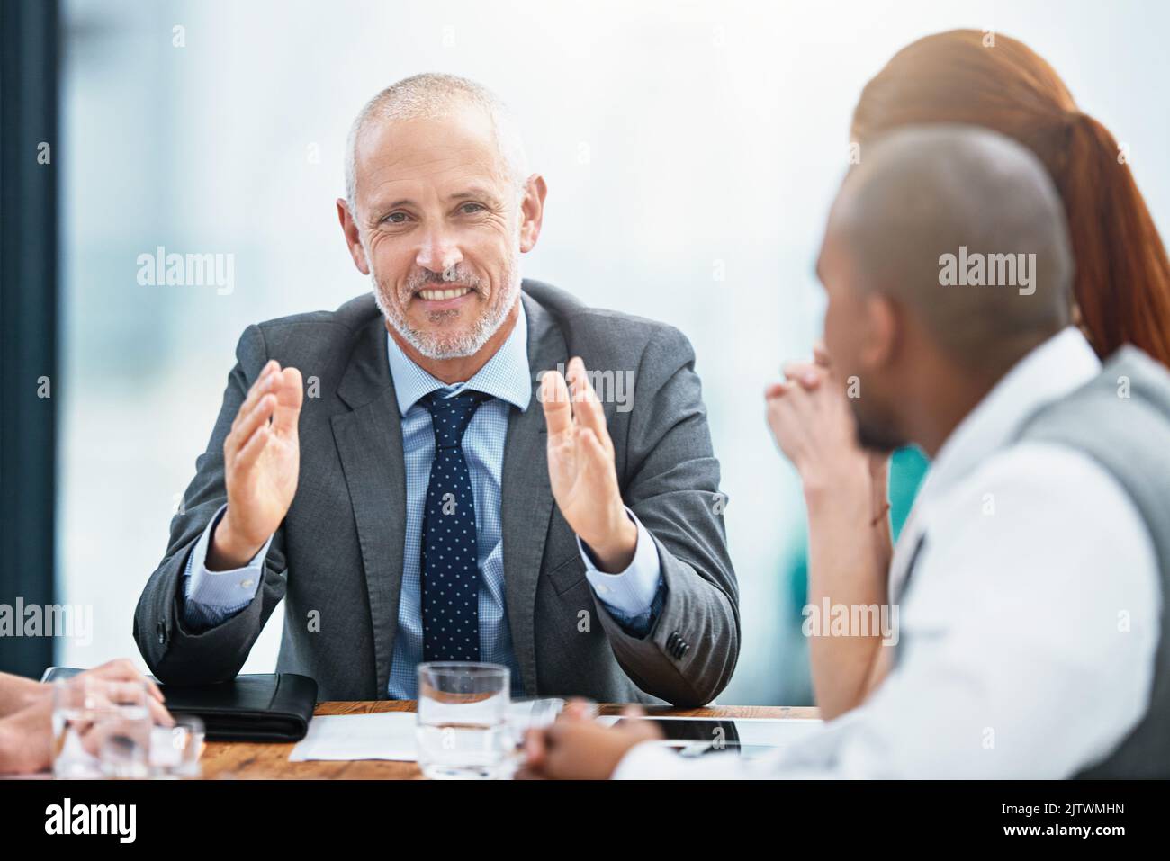 Its all about seeing the bigger picture...a group of businesspeople having a meeting in an office. Stock Photo