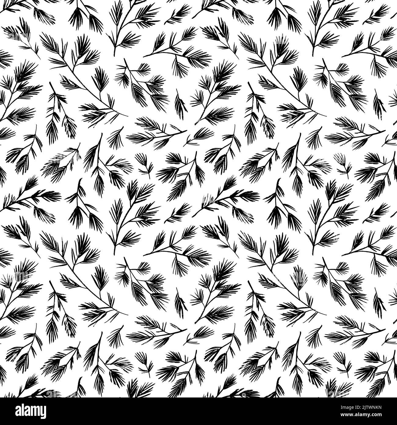 Seamless pattern with spruce and pine tree branch Stock Vector