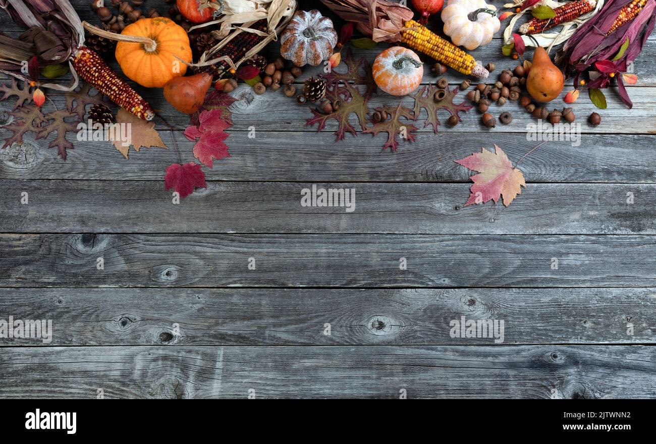 Autumn background consisting of acorns, corn, fall leaves, fruit and gourds for the harvest season Stock Photo