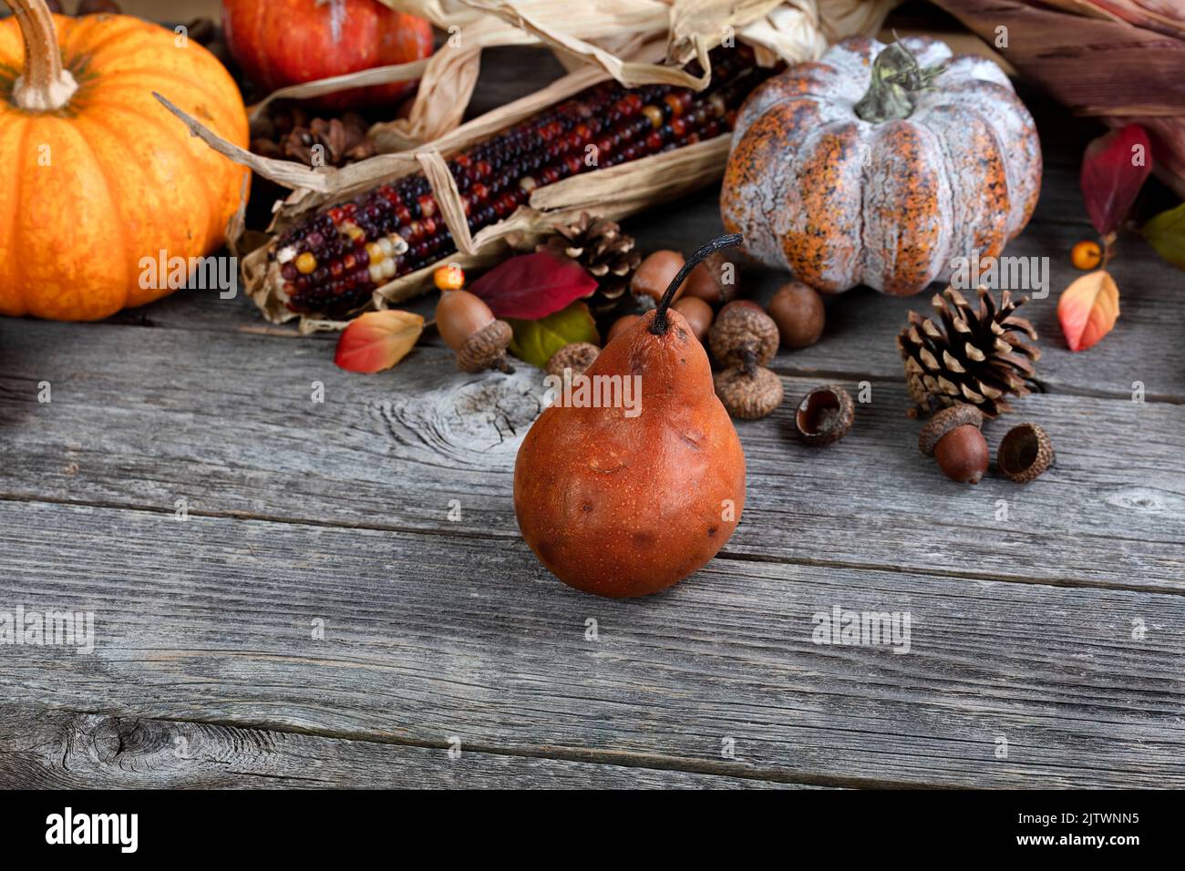 Close up a ripe pear fruit with autumn harvest background of gourds, corn, acorns on rustic wood table Stock Photo
