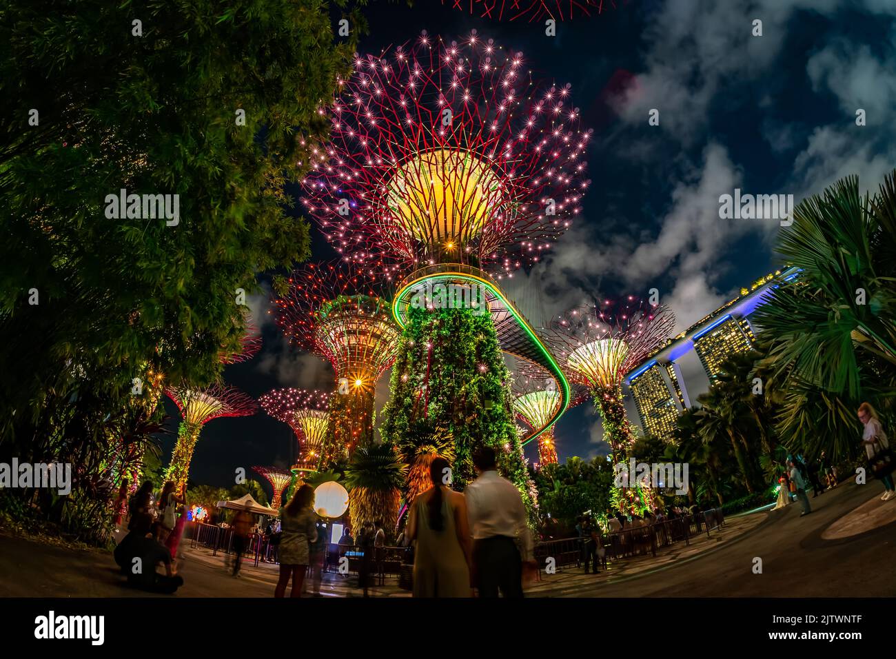 Garden Rhapsody, spectacular light and sound show, at Gardens By The ...