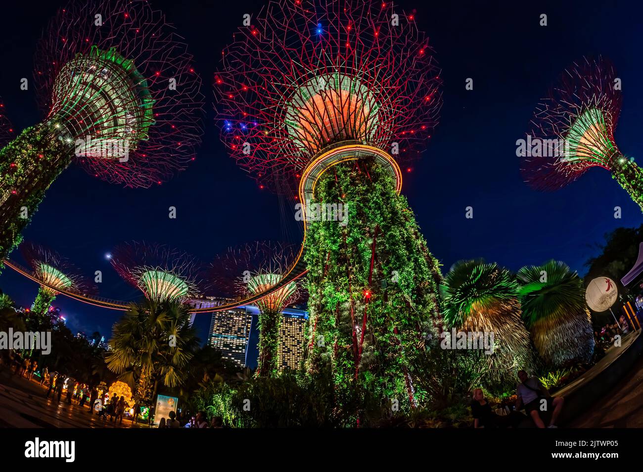Garden Rhapsody, spectacular light and sound show, at Gardens By The Bay during Mid-Autumn Festival 2022. Stock Photo
