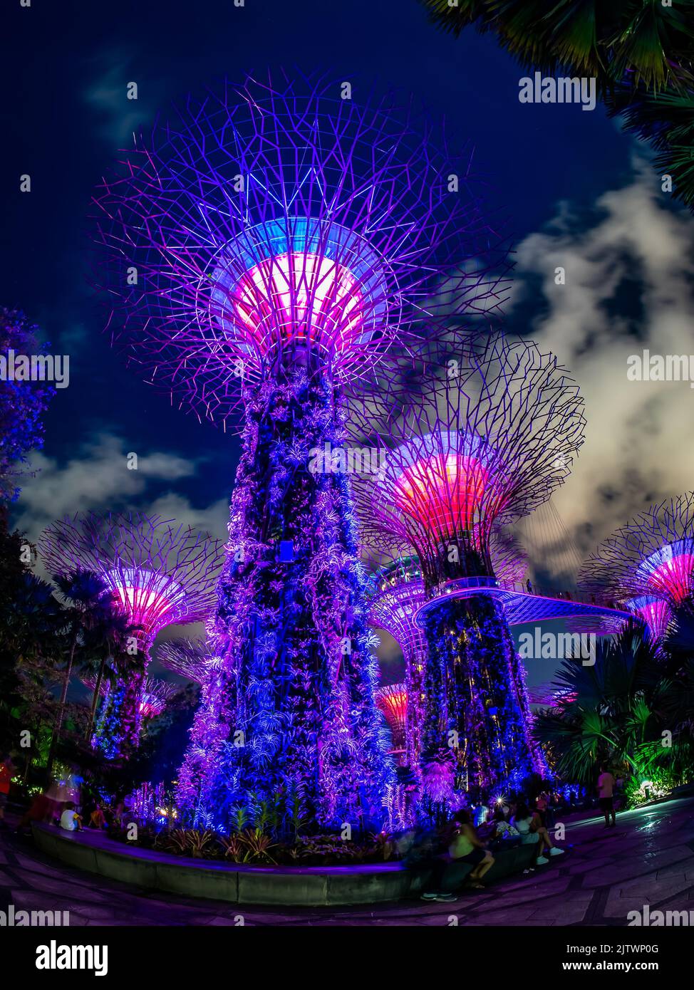Garden Rhapsody, spectacular light and sound show, at Gardens By The Bay during Mid-Autumn Festival 2022. Stock Photo