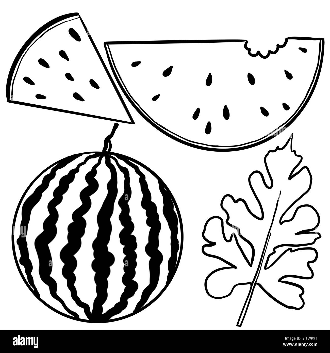 watermelon plant clipart black and white tree