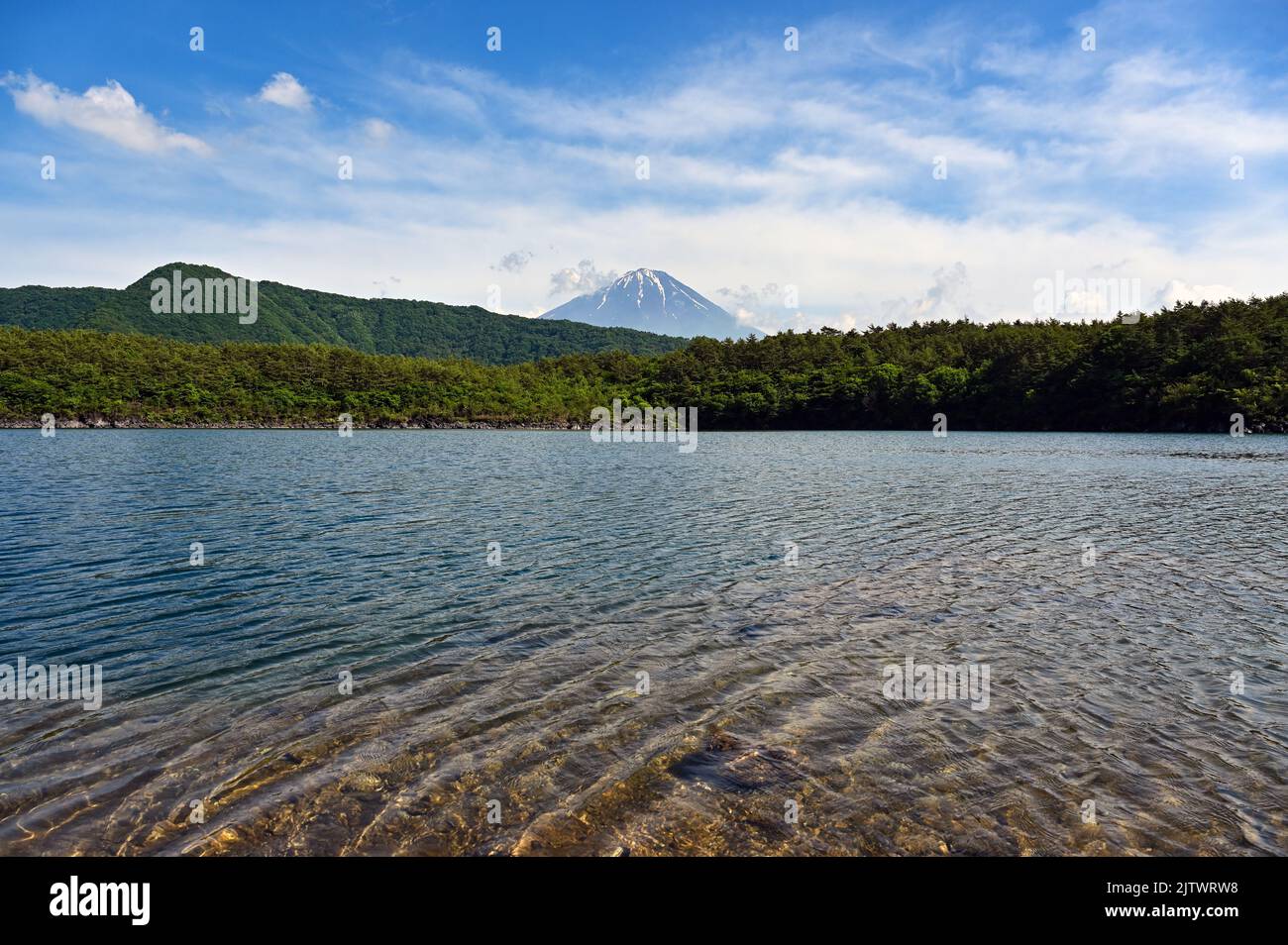 Saiko Lake and Mt. Fuji Stock Photo