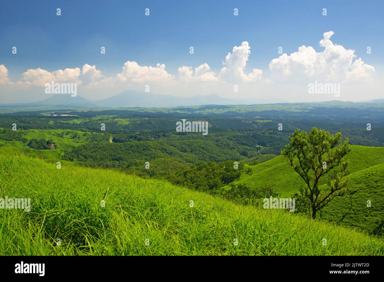 Grassland and Mt. Aso in Summer, Kumamoto Prefecture, Japan Stock Photo