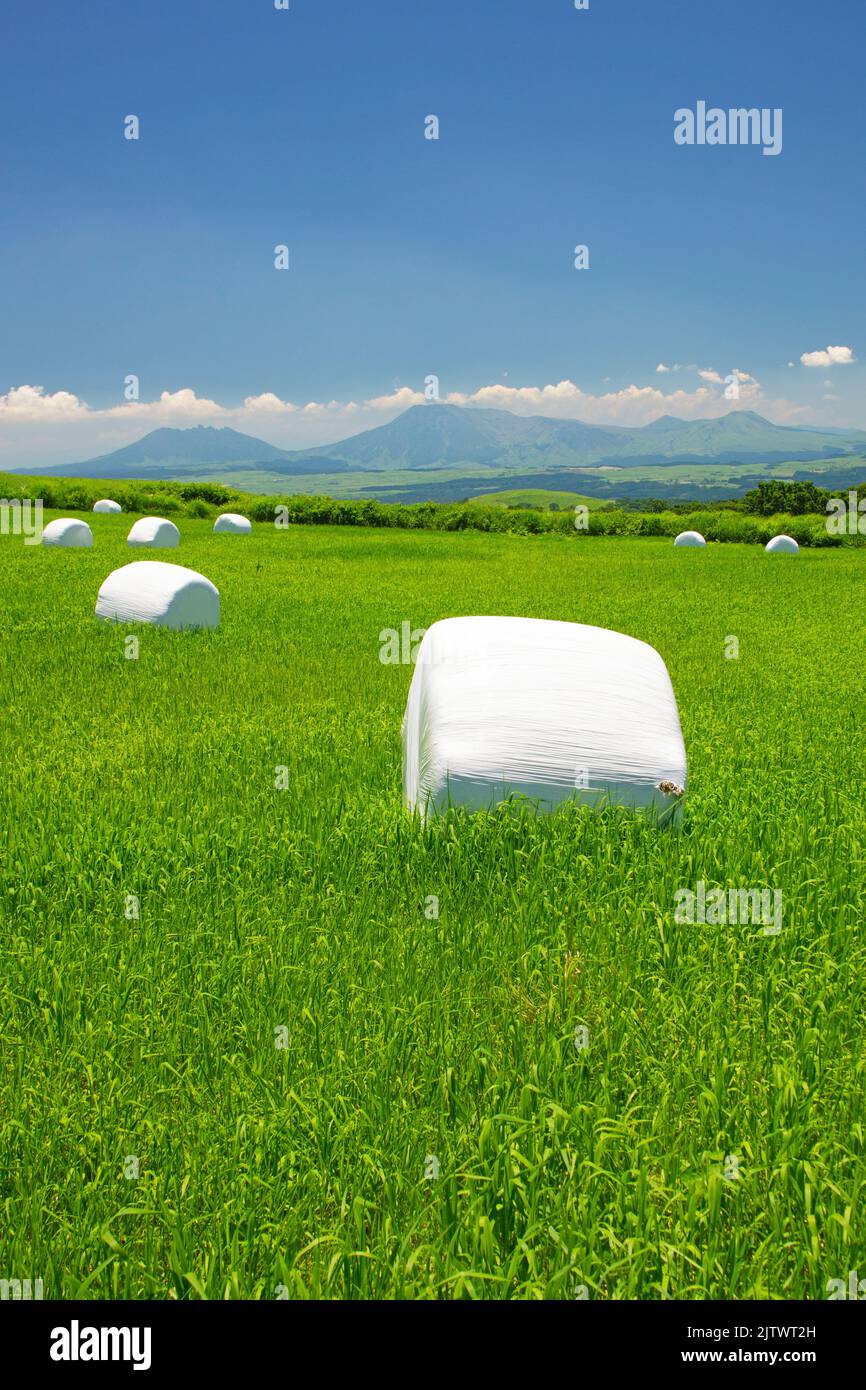 Grassland and Mt. Aso in Summer, Kumamoto Prefecture, Japan Stock Photo