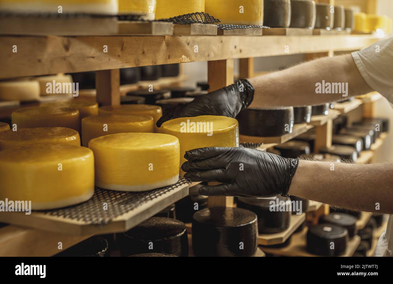 A farmer turns over cheese heads on wooden shelves in the cheese