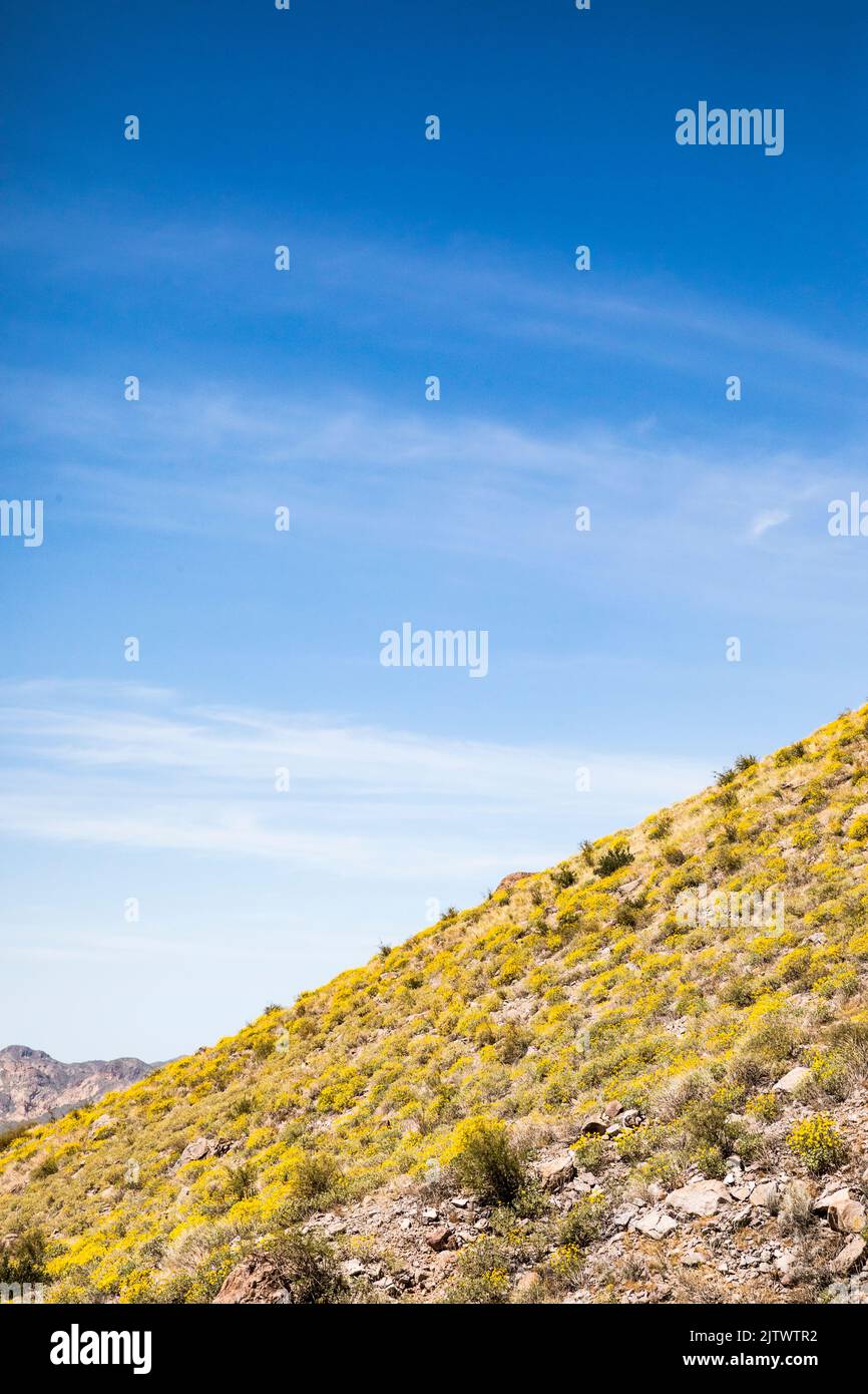 Steep rock formations and yellow flowers on the hills below in Lost Dutchman State Park, Arizona, USA. Stock Photo