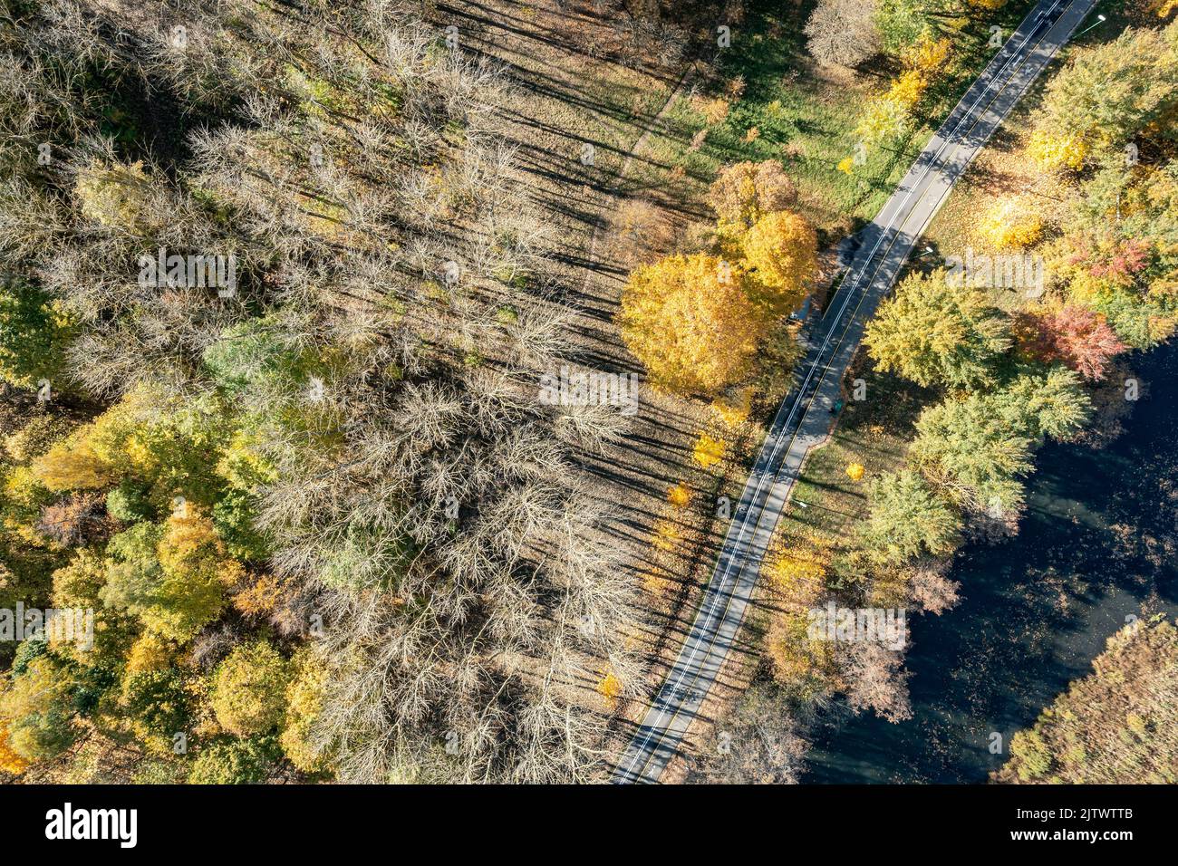 winding bicycle lane surrounded by yellow autumn trees. aerial view in sunny day. Stock Photo