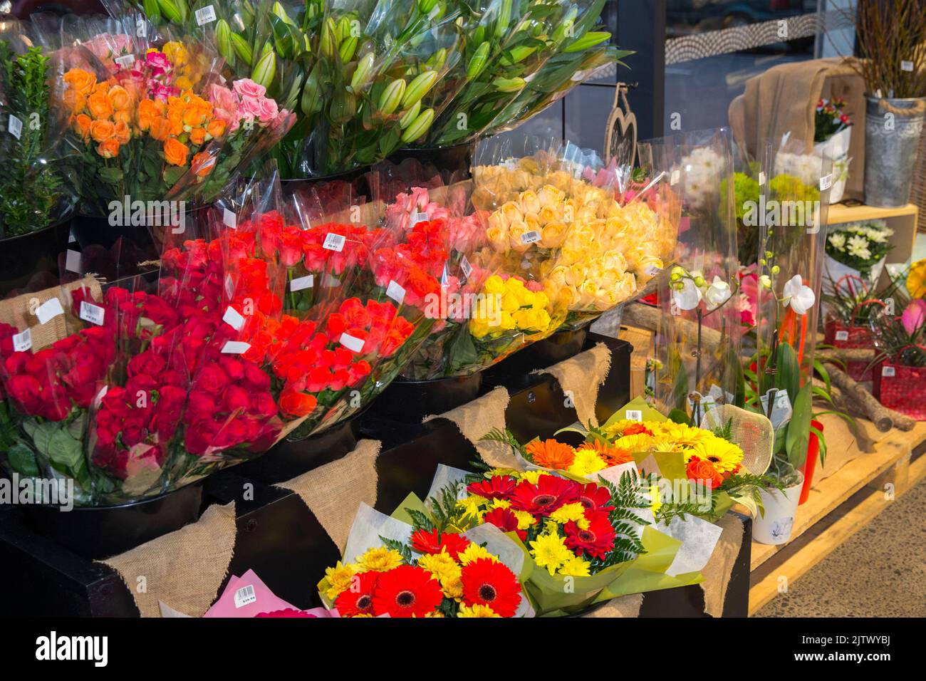 Fresh Flower display in a supermarket. Photo: David Rowland / One-Image.com Stock Photo