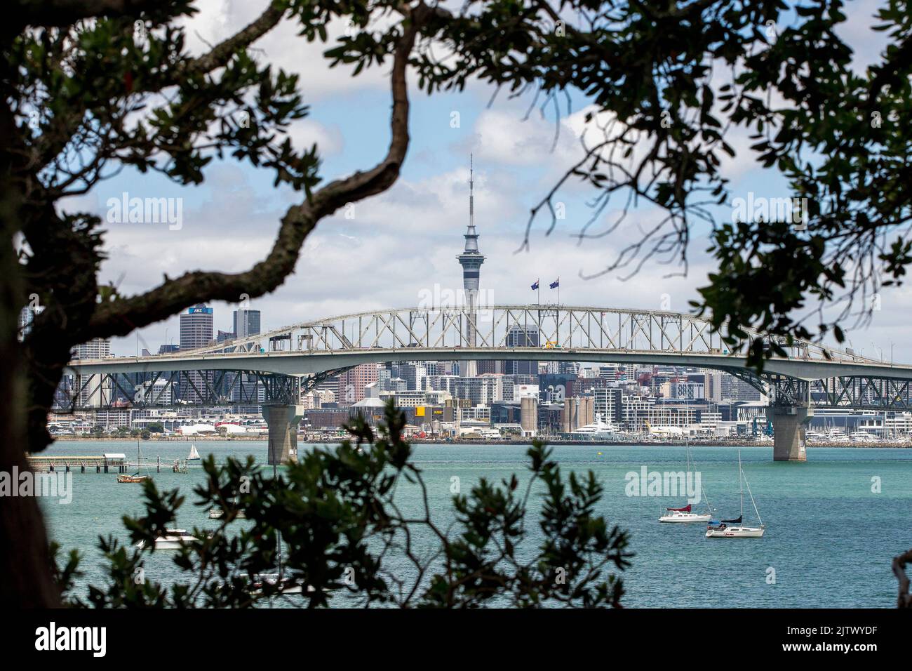 Auckland Harbour Bridge with Sky Tower and city in background, framed by trees, Auckland, New Zealand Stock Photo