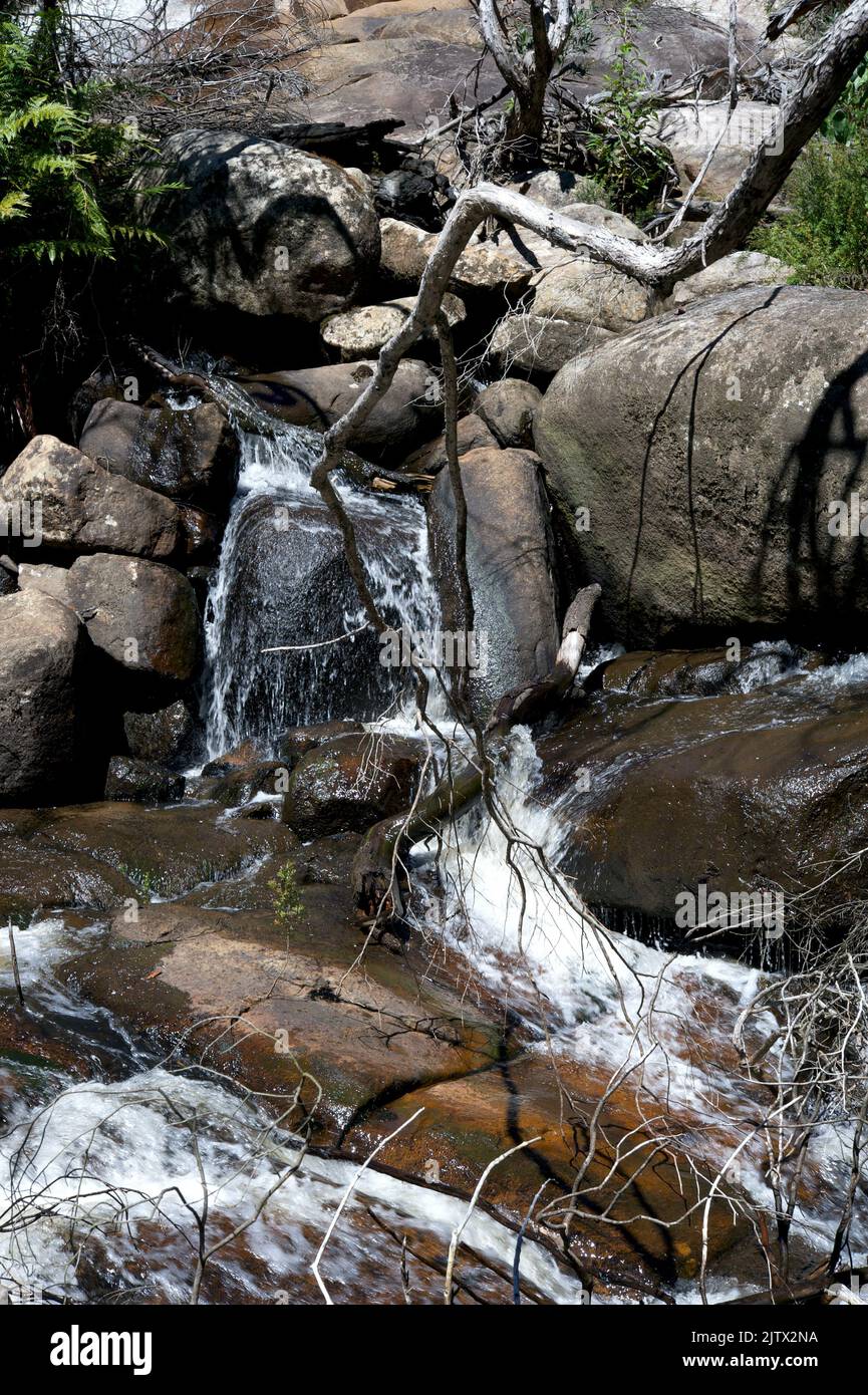 Murrindindi Cascades are a scenic gem on the Murrindindi River, in the Toolangi State Forest, about 5 kms up a gravel road, used by logging trucks. Stock Photo