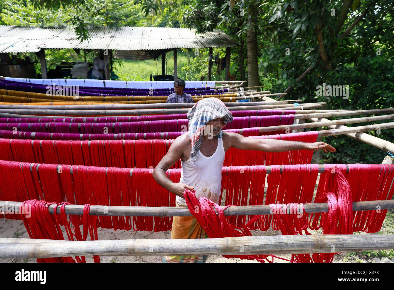 Dyesoaked yarn used for weaving traditional Lungi dry under the sun in