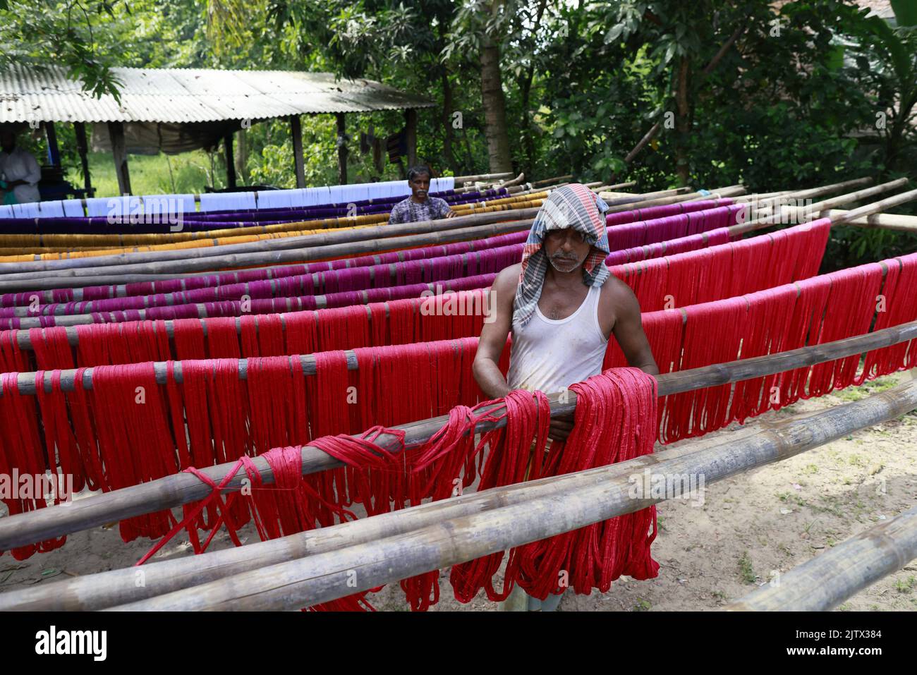 Dyesoaked yarn used for weaving traditional Lungi dry under the sun in
