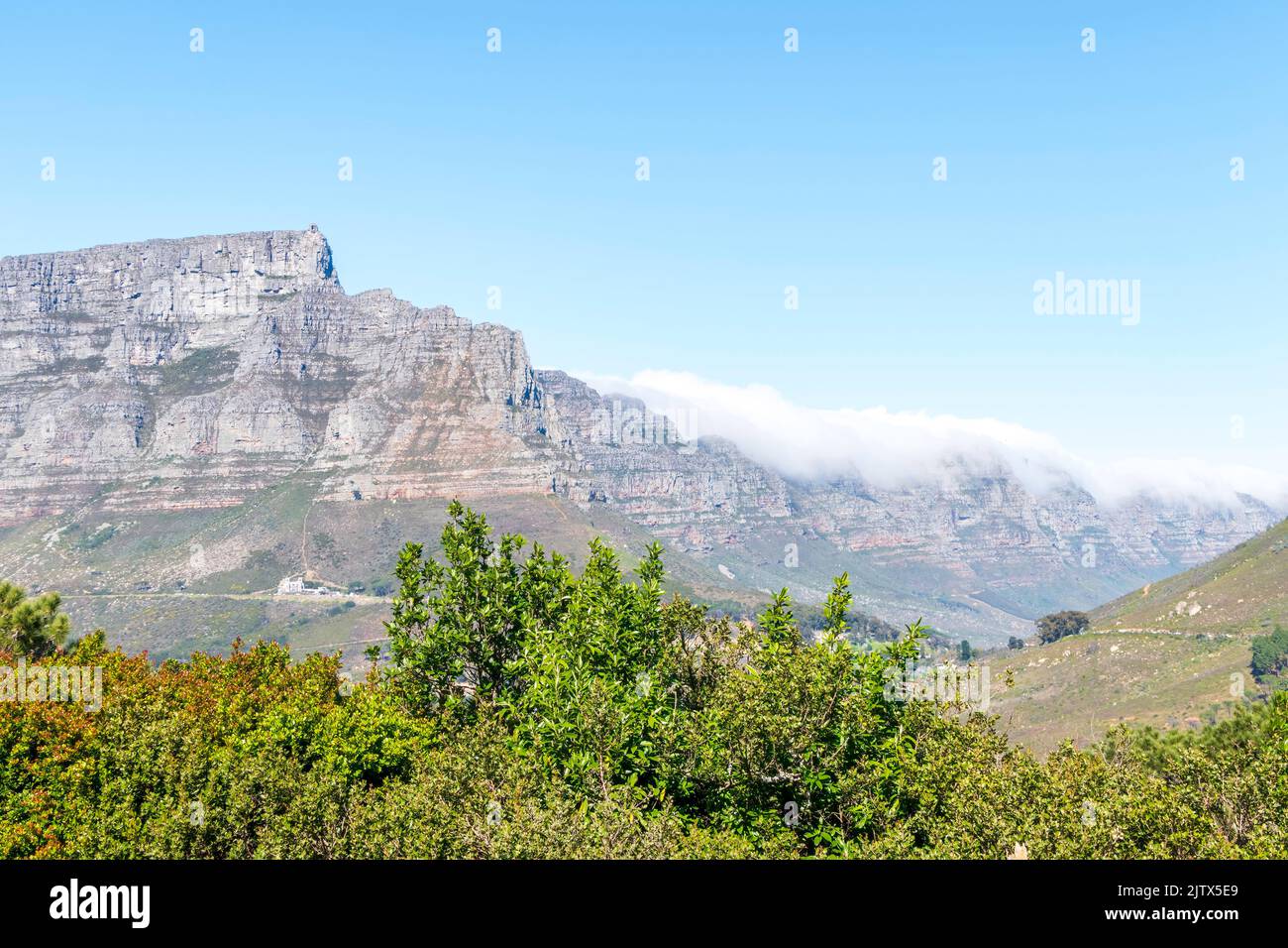 View of the table mountain in Cape Town through the trees. South Africa Stock Photo
