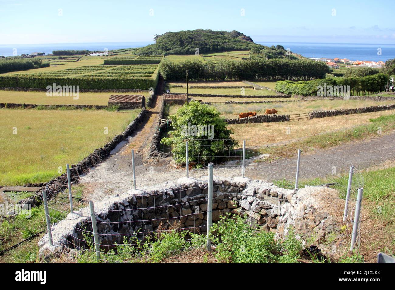Rural landscape near Porto Judeu, Atlantic Ocean in the background, near Porto Judeu, Terceira Island, Azores, Portugal Stock Photo