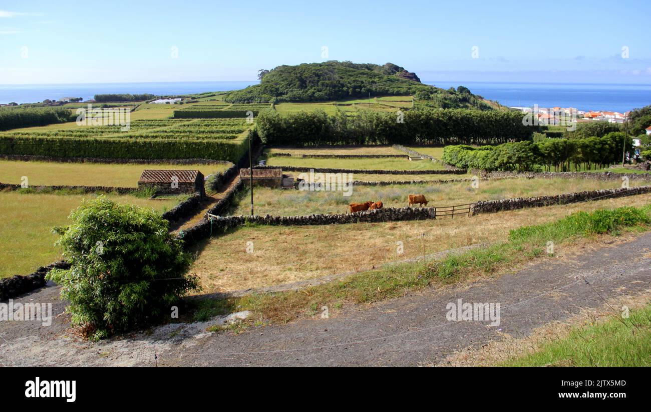 Rural landscape near Porto Judeu, Atlantic Ocean in the background, near Porto Judeu, Terceira Island, Azores, Portugal Stock Photo